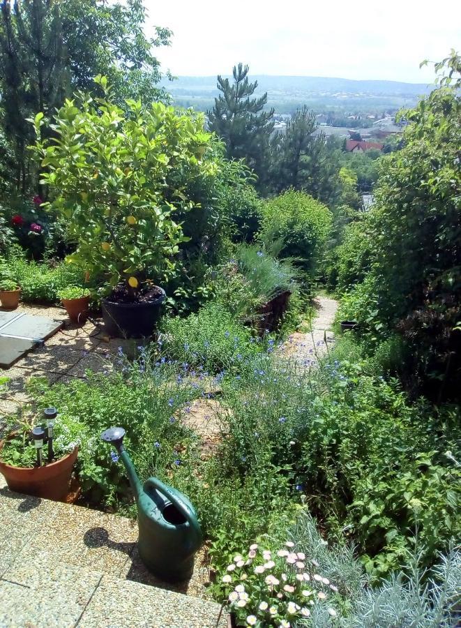 Anna Apartment Budaörs Zewnętrze zdjęcie