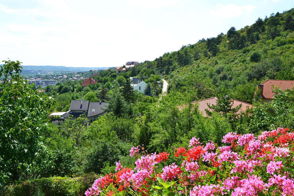 Anna Apartment Budaörs Zewnętrze zdjęcie